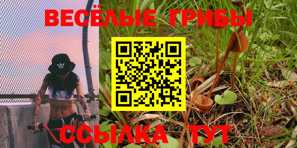 Псилоцибиновые грибы Psilocybine cubensis  Галлюциногенные грибы MAGIC MUSHROOMS  Вход с VPN  Кингисепп 