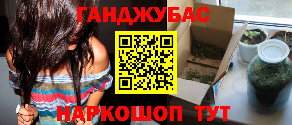 Марихуана гибрид Кингисепп